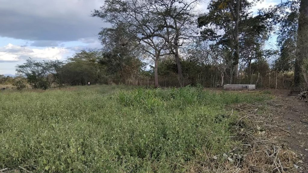 JUTICALPA, OLANCHO